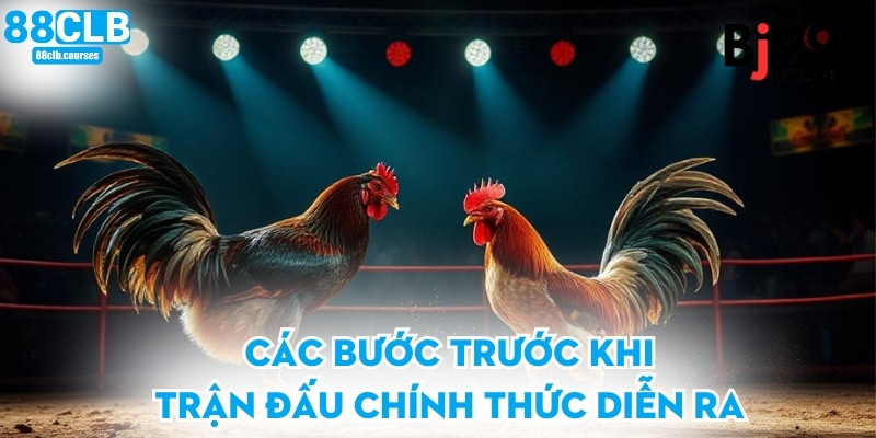 Các bước trước khi trận đấu chính thức diễn ra