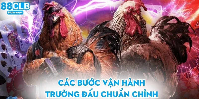 Các bước vận hành trường đấu chuẩn chỉnh