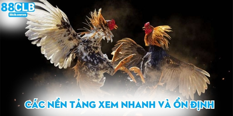 Các nền tảng xem nhanh và ổn định