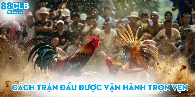 Cách trận đấu được vận hành trọn vẹn