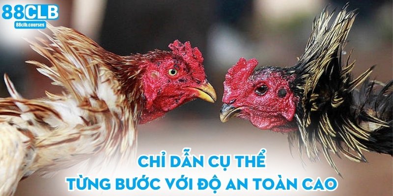 Chỉ dẫn cụ thể từng bước với độ an toàn cao
