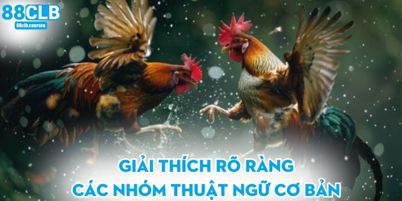 Giải thích rõ ràng các nhóm thuật ngữ cơ bản