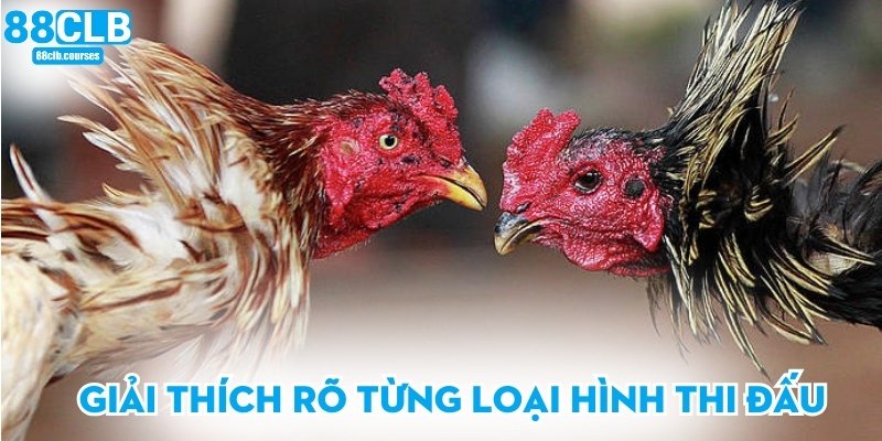 Giải thích rõ từng loại hình thi đấu