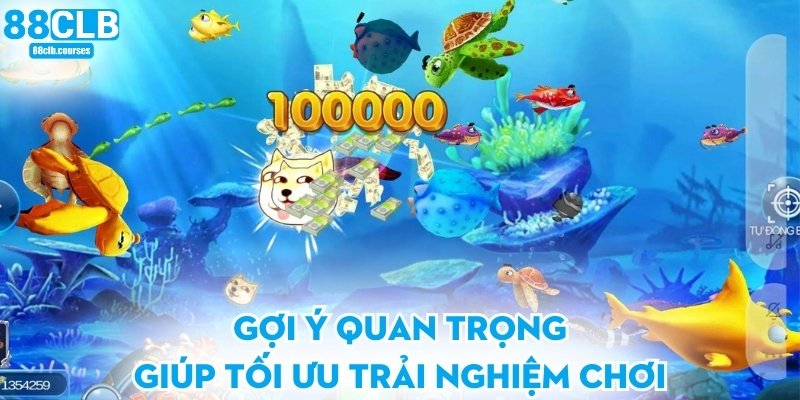 Gợi ý quan trọng giúp tối ưu trải nghiệm chơi