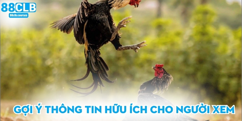 Gợi ý thông tin hữu ích cho người xem