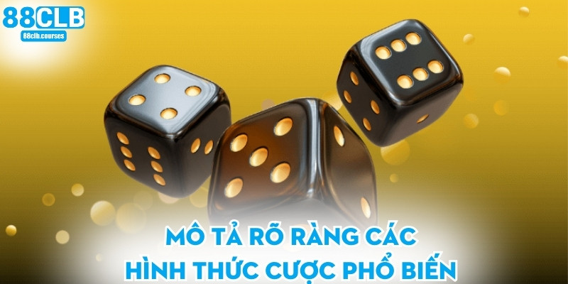 Mô tả rõ ràng các hình thức cược phổ biến