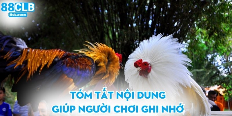 Tóm tắt nội dung giúp người chơi ghi nhớ