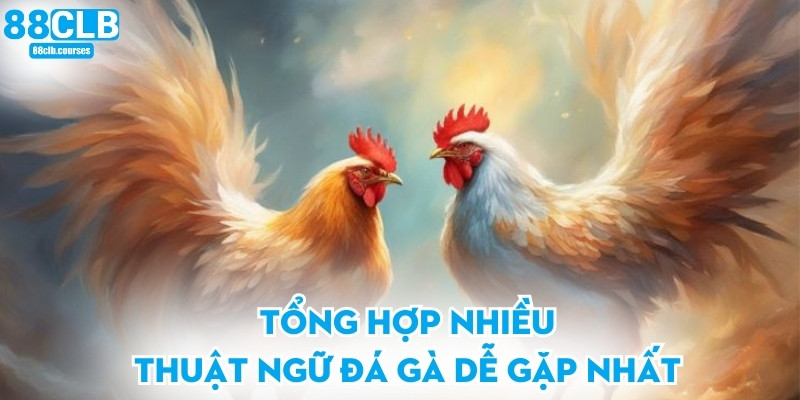 Tổng hợp nhiều thuật ngữ đá gà dễ gặp nhất