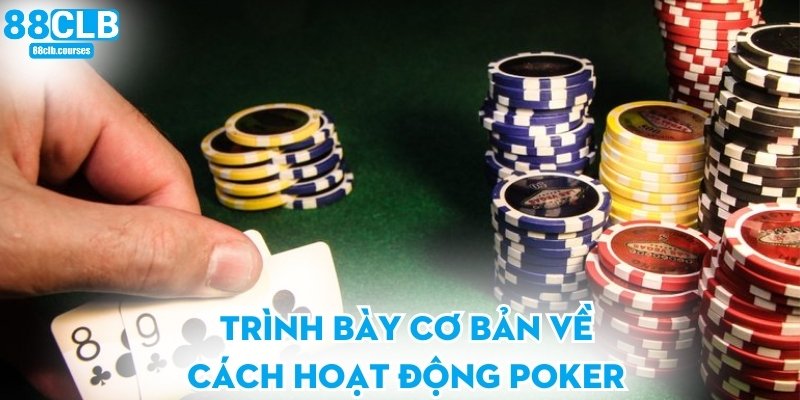Trình bày cơ bản về cách hoạt động poker